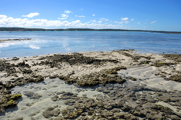 Piscinas de Maragogi.